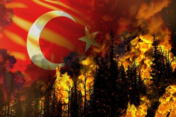 Forest fire natural disaster concept - heavy fire in the trees on Turkey flag background - 3D illustration of nature
