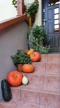 Fototapeta Jesienna dyniowa dekoracja na schodach przed wejściem do domu, pumpkin on the porch