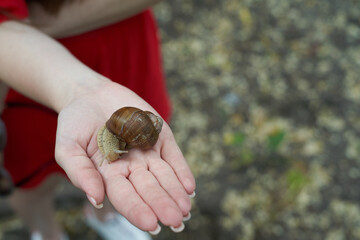 Girl holding a big snail on her hand, ecology concept