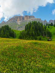 Obraz premium Mountain landscape along the road to Pordoi pass, Dolomites