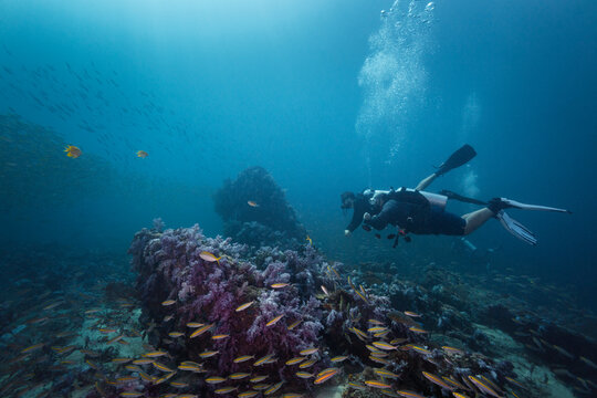 Scuba diver buddy team diving over coral reef