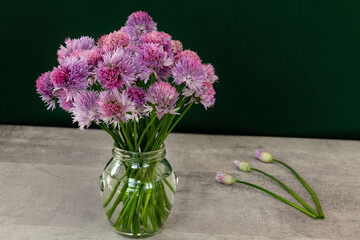 Flowering chives bouquet in glass cup. Green background and gray table. Simple composition.