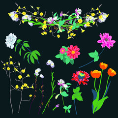 A set of different vector flowers. Wild and garden. Vignette of flowers.