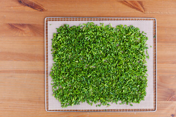 Fresh raw cut chives greens on dehydration tray on wooden table. Vegetables, herbs ready for home...
