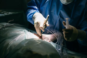 Crop vet performing surgery in dark operating room