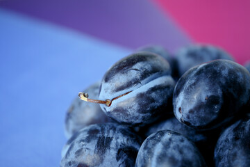 Blue plums on a blurry background color palette of blue, purple and magenta