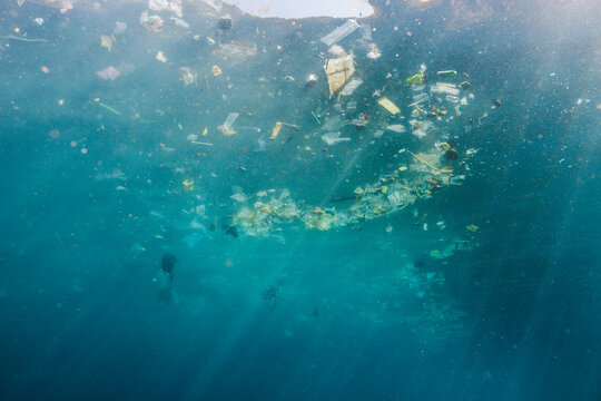 Microplastic and single use plastic environmental issue