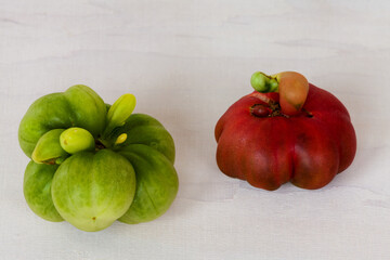 Ripe and unripe tomatoes of unique, unusual shape. Purple calabash tomato heirloom. Eco vegetables.