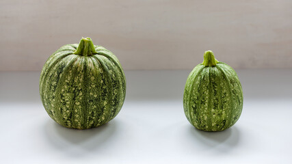 Flat lay of different shape zucchini vegetable. Round and long courgette veg on bright background.