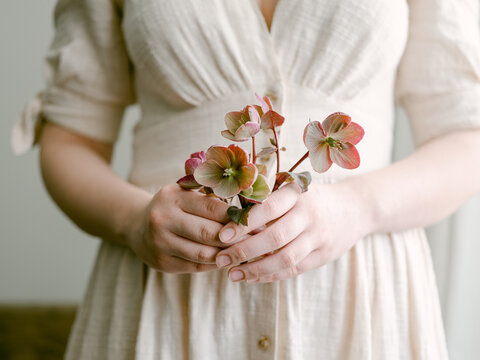Woman holding hellebores flowers in her hands