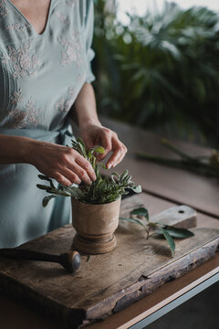 Anonymous Woman Arranging Fresh Herbs In Mortar