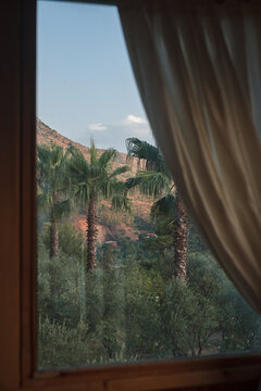View from house window on nature