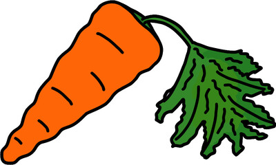 hand drawn cartoon style carrot