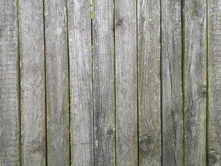 Wooden Wall Background. Old green fence in a village