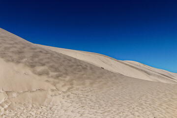 sand dunes in the desert