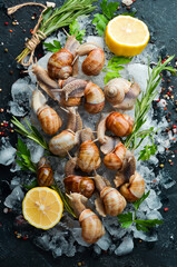 Fototapeta na wymiar Edible Snails on Ice with Parsley and Lemon. Traditional French cuisine. Top view.