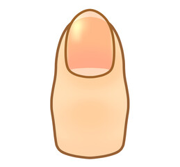 健康な爪