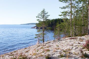 Northern Wild Landscape with View of the Rocky Lake Coast - 378212438