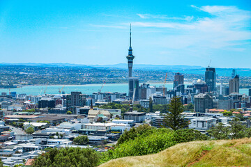Fototapeta na wymiar View From the top of mount Eden New Zealand 