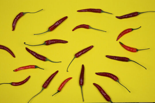 High angle view on raw scattered chilli peppers on blank yellow background
