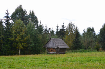 Wooden feeder for deers on a green meadow near forest in autumn