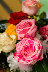 Pink rose flower brindle among other roses in a bouquet.