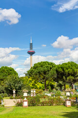 Obraz premium Palmengarten und Europaturm in Frankfurt am Main, Hessen