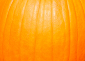 close up of texture of pumpkin Skin - obrazy, fototapety, plakaty