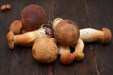 fresh mushrooms raw unshelled boletus on a wooden table