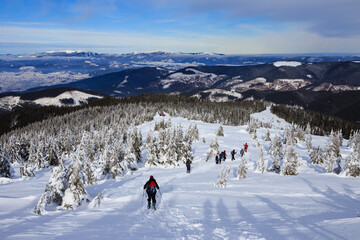 The exciting landscape of the Hoverla surroundings. Ukrainian Carpathian mountains