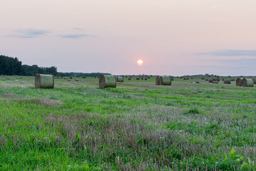 Nature background. Bales of straw on the autumn meadow during wonderful sunset light