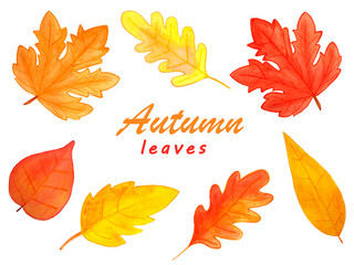 Watercolor set of autumn leaves isolated of a white background. Hand-drawn illustration