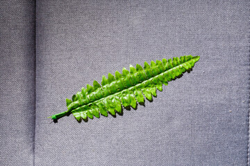 Businessman holding measurement tape, isolated on white background