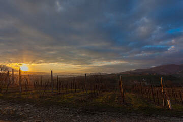 Fototapeta na wymiar Awesome winter sunset over vineyard, Conegliano, Italy. Concept: agricultural landscape, Prosecco hills, a World Heritage Site