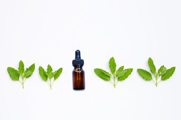 Fresh holy basil  leaves with essential oil bottle on white.