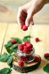 Raspberry berry in hand. Fresh forest raspberries.