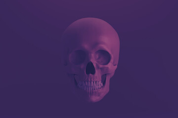 human skull on violet background, front view, 3d render