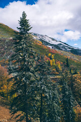 autumn in the mountains