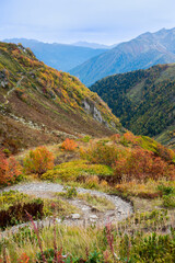 autumn landscape in the mountains