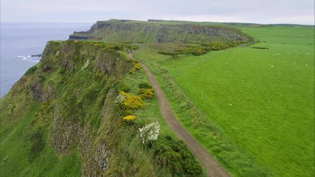 Wide aerial, coastal cliffside in Ireland