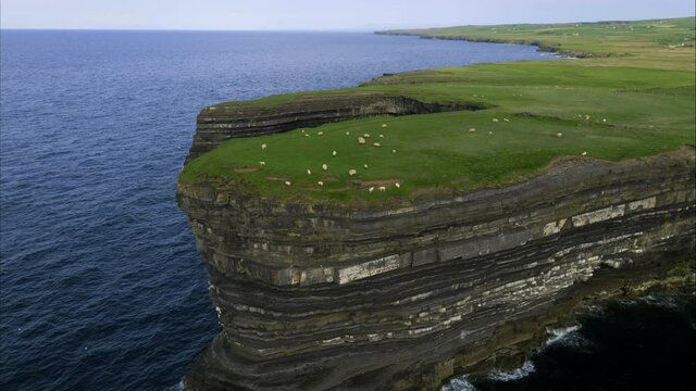 Pan right aerial, sheep grazing along Ireland coastal cliffs
