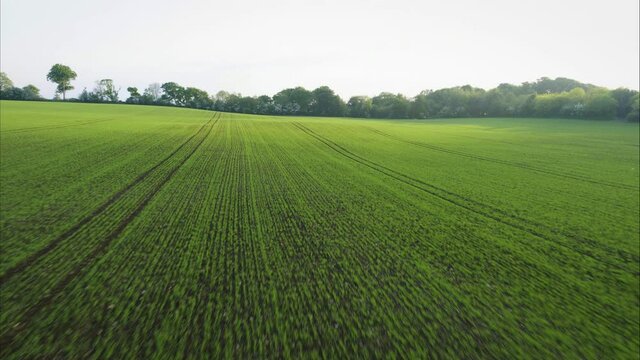 Agricultural field in Ireland countryside, wide aerial
