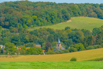 Fields and trees in a green hilly grassy landscape under a blue sky in sunlight at fall, Voeren,...