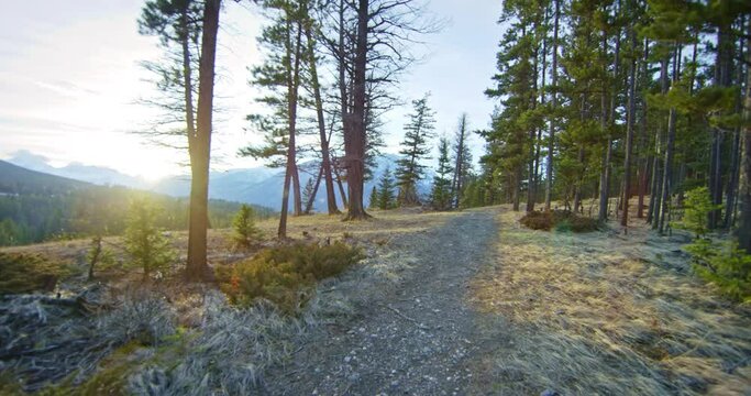 Point of view, hiking trail at sunset in Banff National Park