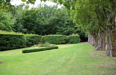 Green landscape - The Ashcombe Maze and Lavender Gardena, Victoria, Australia