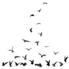 Fototapeta premium Set of seagulls birds, nautical sailor tattoo sketch. Black stroke of flying sea gull silhouettes on white background. Marine set. Drawings of different shapes of water birds in the flock. Vector.