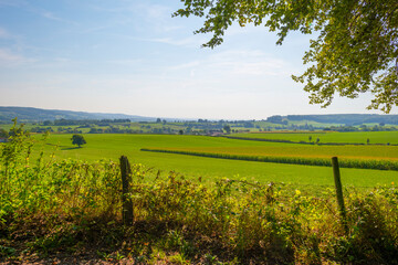 Fields and trees in a green hilly grassy landscape under a blue sky in sunlight at fall, Voeren, Limburg, Belgium, September 11, 2020