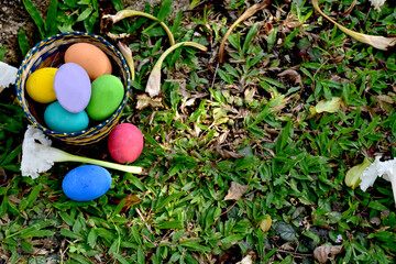 Easter eggs in the Basket on green grass at morning day.