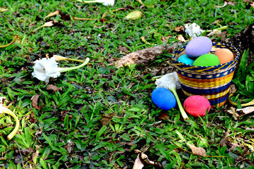 Easter eggs in the Basket on green grass at morning day.