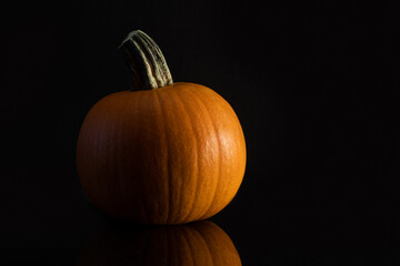 Close up shot of a pumpkin on a black background